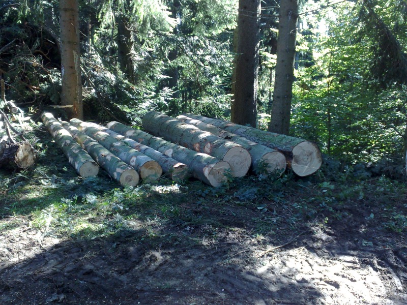 03102012898.jpg
