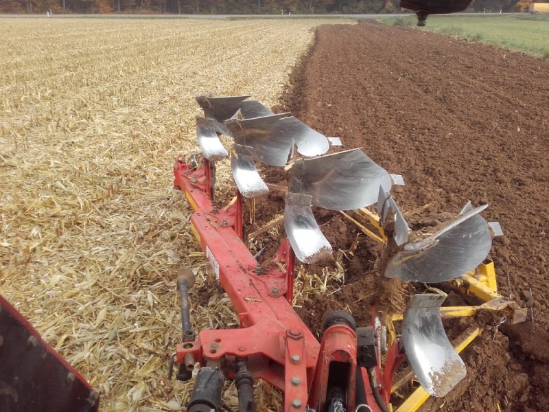 2016-10-27 Maisernte 4.jpg