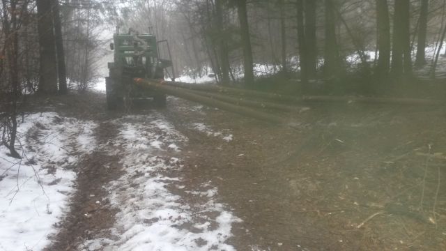 Rückegasse 09.01 (4).jpg