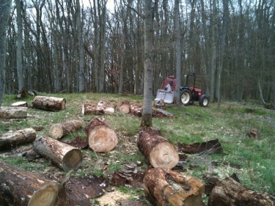 i Dingens Seilwinde Wald.jpg