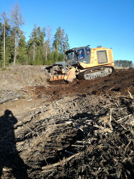 Mulchraupe Jän. 20.jpg