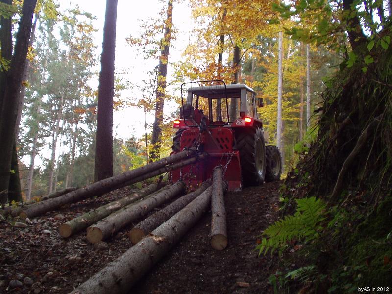 Herbst-Srimmungsbild_Ruecken_von_Schwachholz_aus_Durchforstung_PA250003_2.JPG