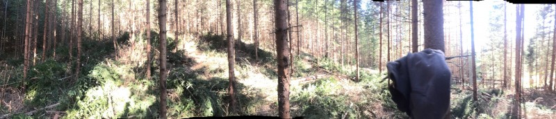 IMG_1818_1900x1900_500KB.jpg