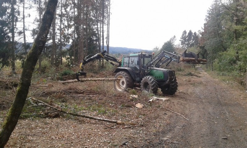 20180815_115613 klein.jpg