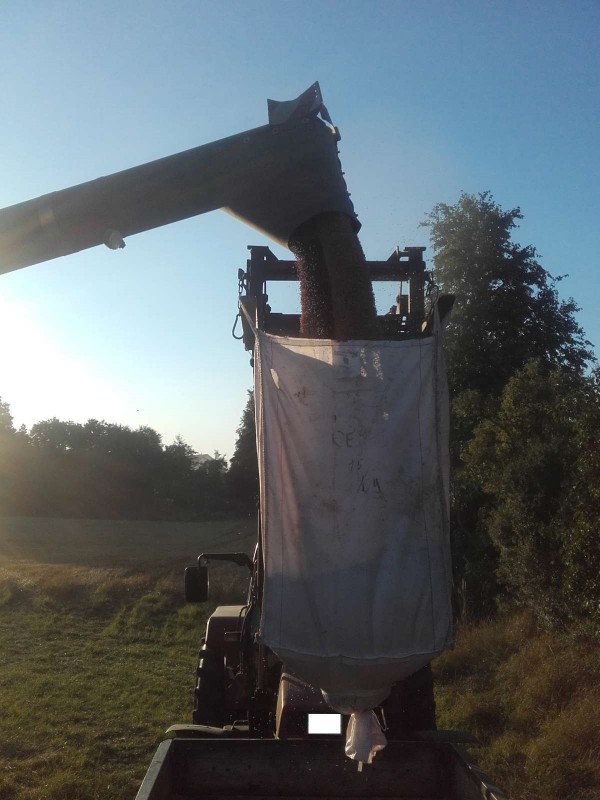 2019-07-24 Big Bag füllen 1.jpg