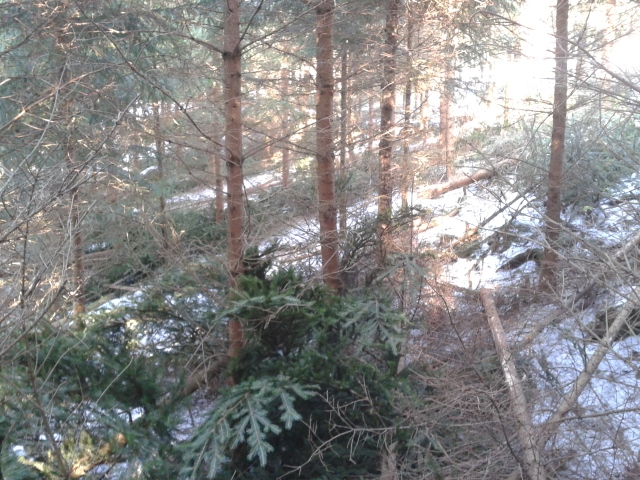 2015-02-20 11.53.18 (640x480).jpg