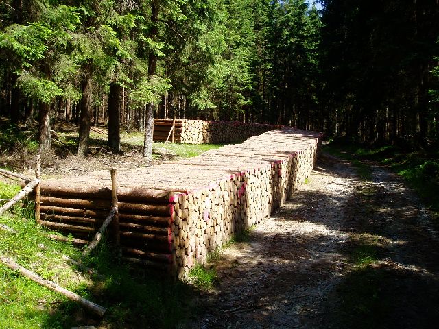 Holz 2006_1.jpg