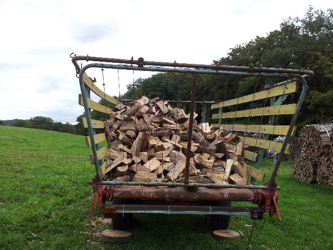 Auf Ladewagen auskippen und nach Hause fahren.jpg