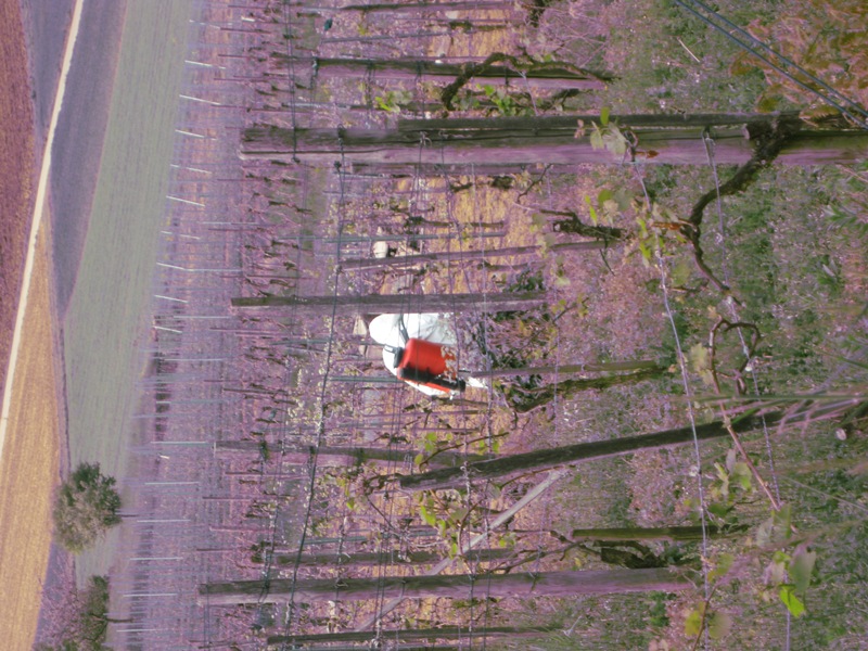 Wirbel II - Kopie.jpg