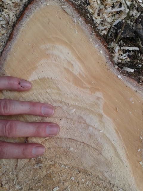 2015-02-21 13.53.14 (480x640).jpg