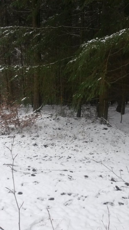 Eindrücke 17.01 (5).jpg