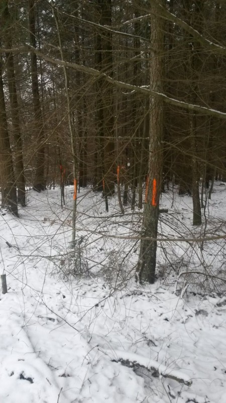 Eindrücke 17.01 (6).jpg