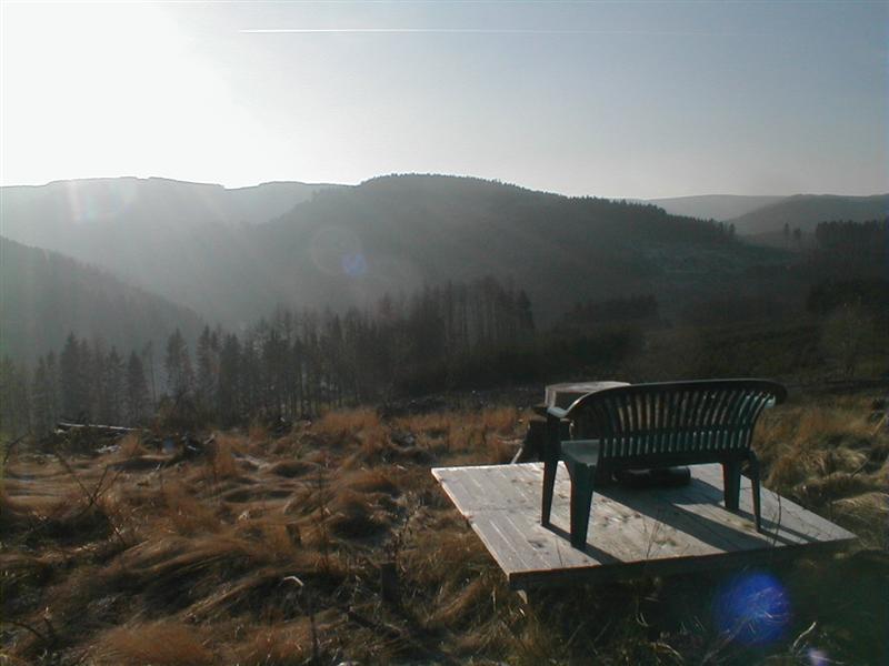 Bild 004 (Medium).jpg