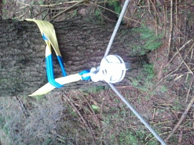 2013-12-14 13.01.36.jpg