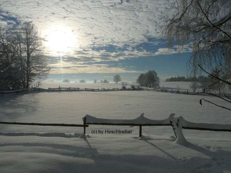 Wintertraum.jpg