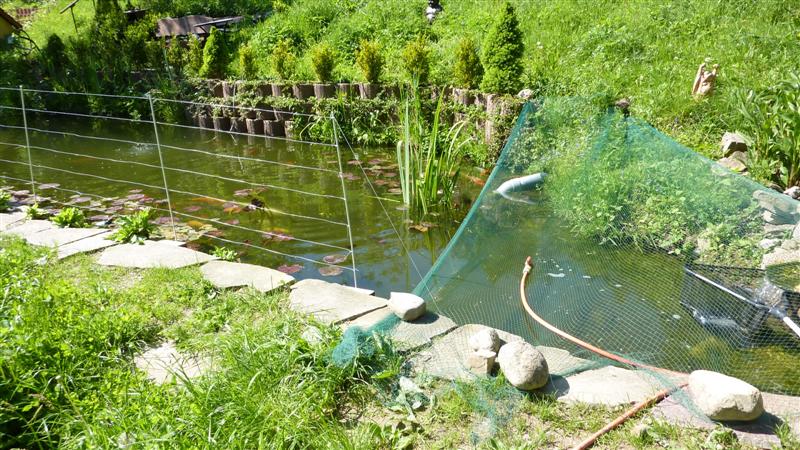 P1050043 (Medium).JPG