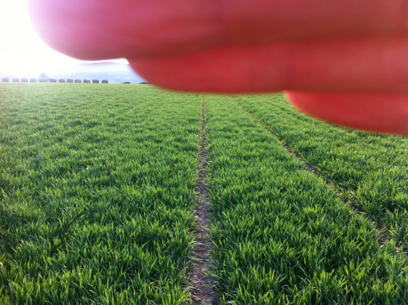 Ausflug Samstag 020.JPG