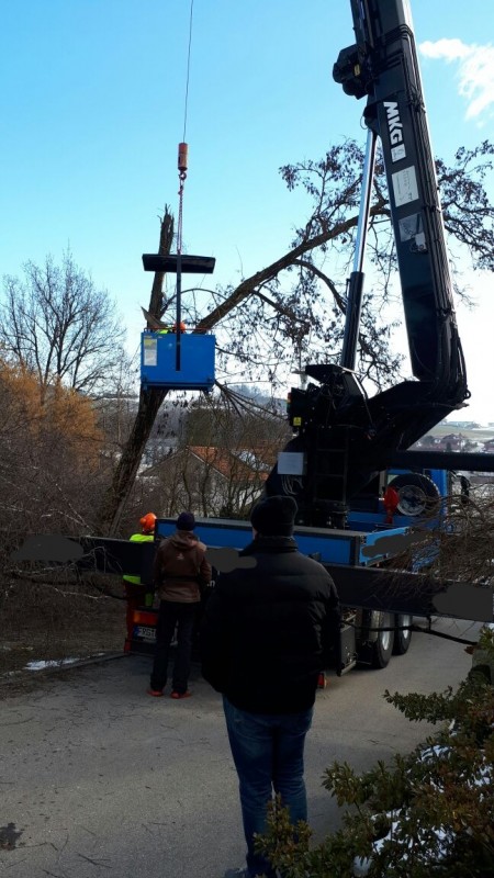 004 Problemfällung.jpg