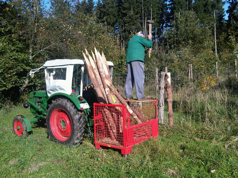 Wildzaunwartung 2011a.jpg