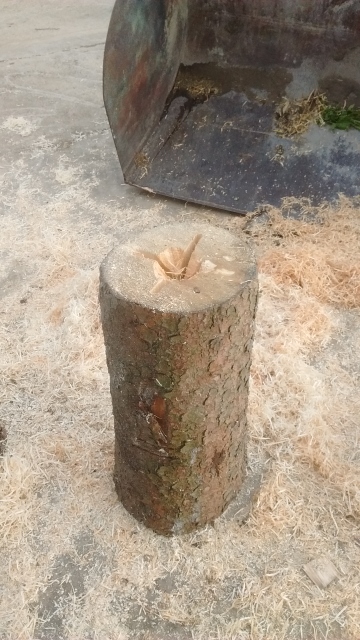 IMG_20161201_103851603 (360x640).jpg