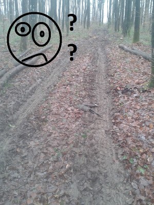 Matschweg hoch mit Smiley.jpg