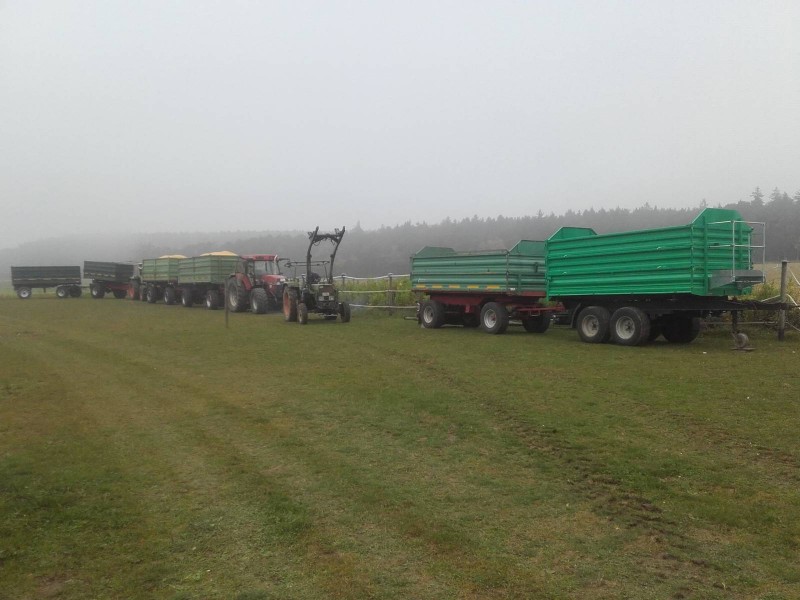 2017-10-18 Mais dreschen 2 mit Fendt.jpg