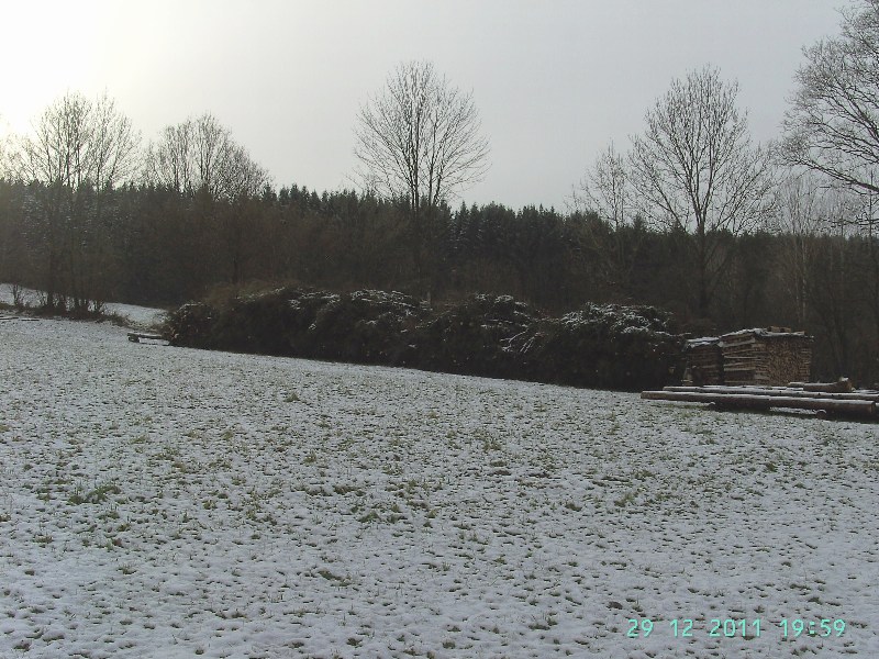 Hackschnitzelhaufen 12 2011 V2.JPG