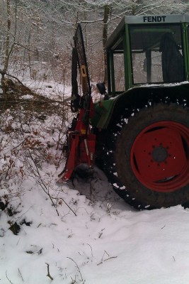 Rücken 16.02.2013b.jpg