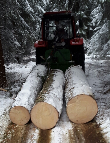 2015-11-29 19.29.26.jpg