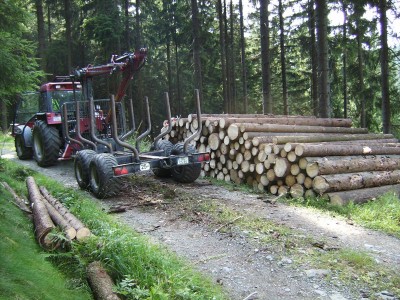 BILD0086.JPG