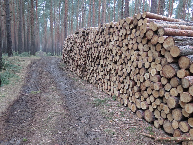 IMG_x0027 - Kopie.jpg