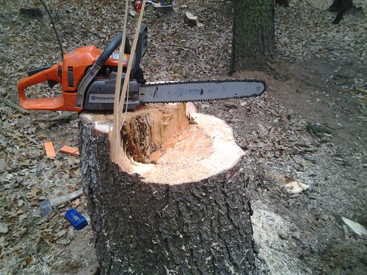 2012-04-07 14.11.32.jpg