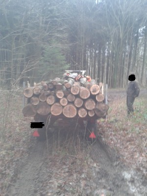 Anhänger Voll von Hinten.jpg