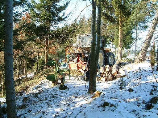 wald.verkl073.JPG