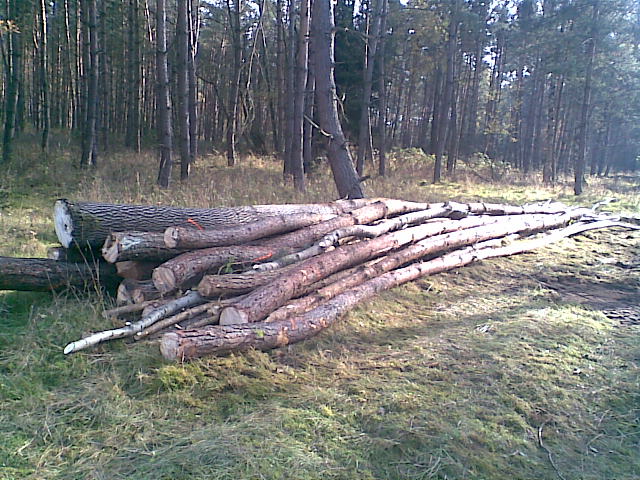 Bild006.jpg