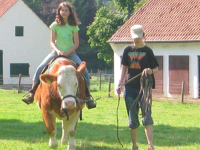 Heidi - Der Film 030k.jpg