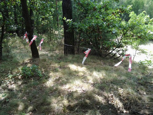 2012-08-09 14.16.30.jpg