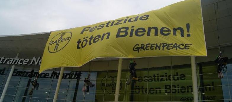 Greenpeace.jpg 2.jpg