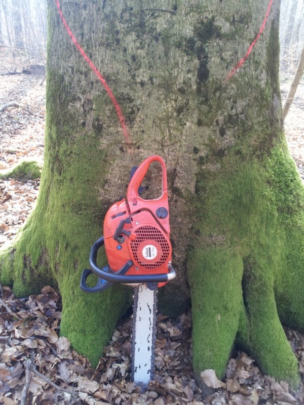 Bilder vom Handy 2115.jpg