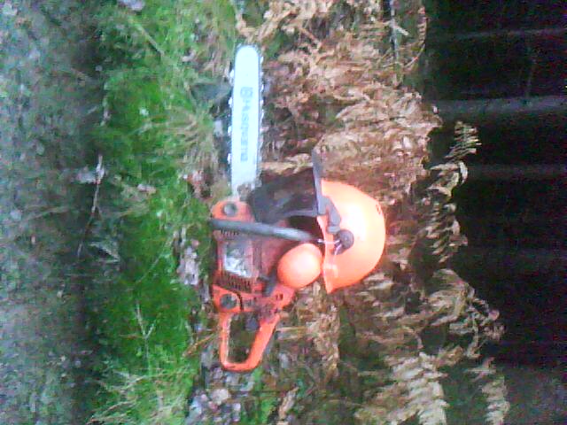 vorbildlich mit Helm.jpg