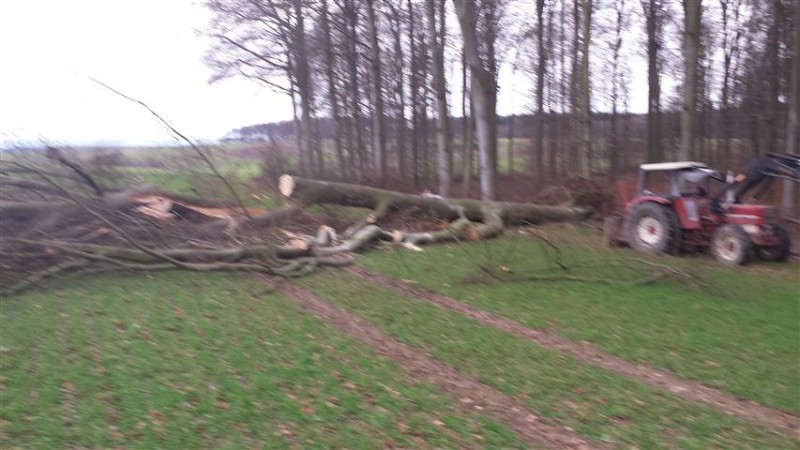 20150115_151700 (Small).jpg