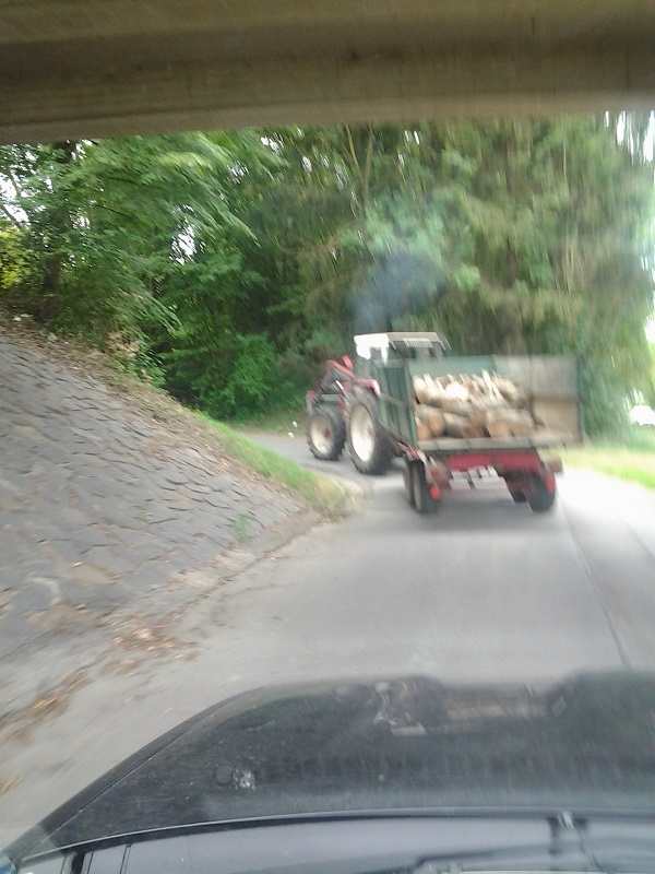 2014-08-23 12.39.07.jpg