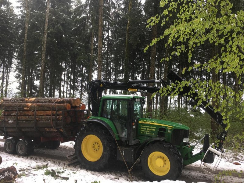 Nadelholz auf Reisen.jpg