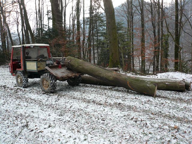 Holzschlag 2010, Werbefotos (25).jpg