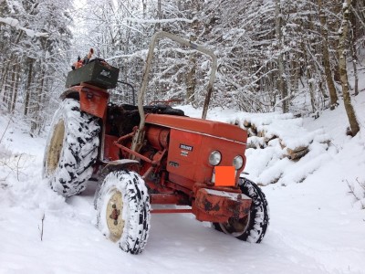 IMG_0061 (Andere).JPG