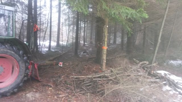 Rückegasse 09.01 (2).jpg