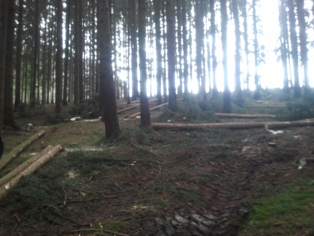 2012-03-03 12.27.47.jpg