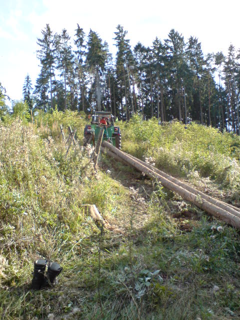 DSC00145.JPG