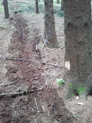 2013-05-25 12.37.42.jpg