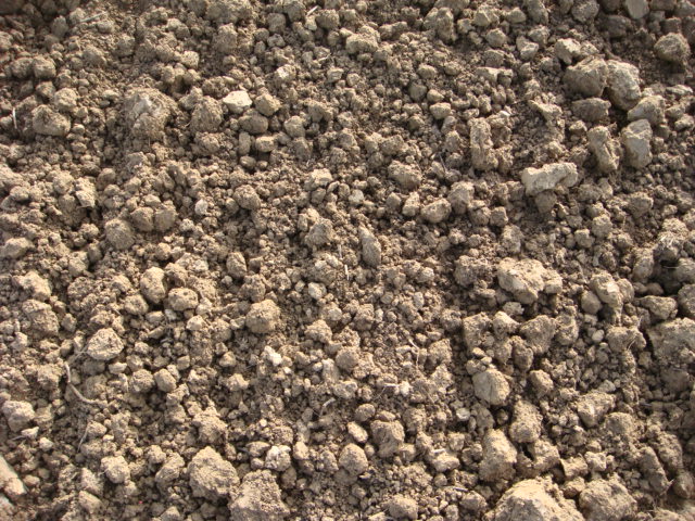 Weizensaat 2022 Bild 7.JPG